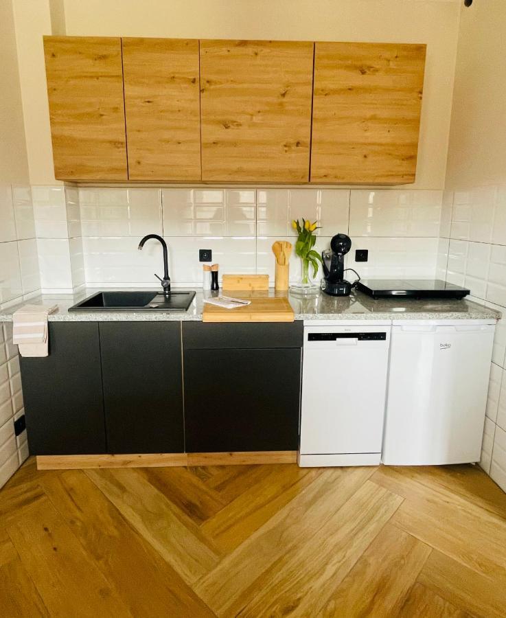 Gorska Cisza - Duzy, Komfortowy, Wyjatkowy Apartament Stronie Śląskie Exterior foto